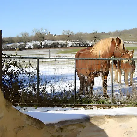 Σπίτι διακοπών Du Cayrou Bournazel (Aveyron)