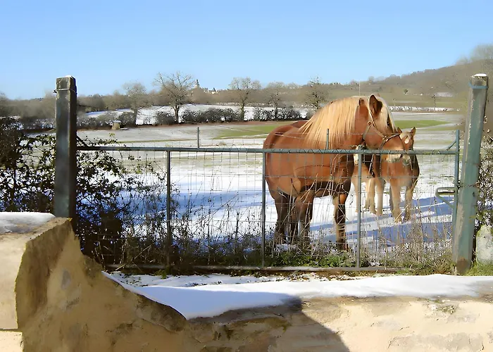 Tatil Evi Du Cayrou Bournazel (Aveyron)